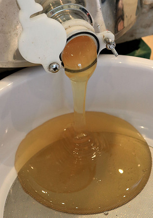 Honey pour 1