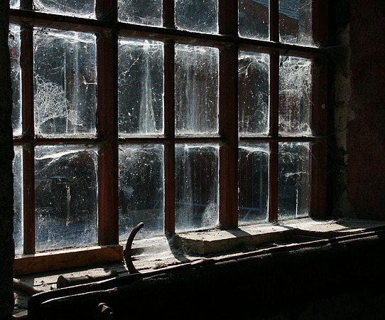 Webbed window