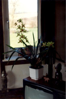 Old Rectory 1970-c1995 by Victor Skipp