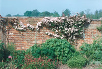 Old Rectory 1970-c1995 by Victor Skipp