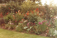 Old Rectory 1970-c1995 by Victor Skipp