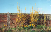 Old Rectory 1970-c1995 by Victor Skipp