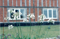 Old Rectory 1970-c1995 by Victor Skipp