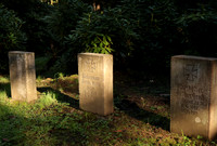 Hauptfriedhof Saarbrucken 3 graves in sunlight