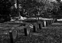 Hauptfriedhof Saarbrucken German row inc 11.11 bw