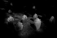 Hauptfriedhof Saarbrücken