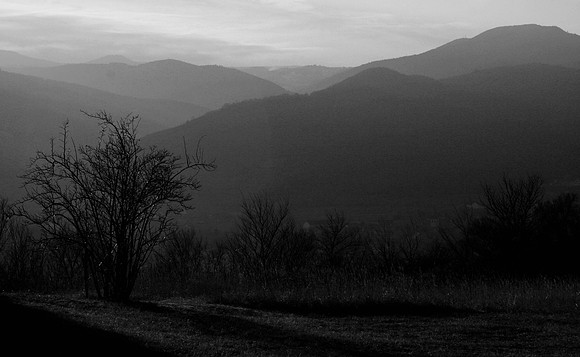 View from Nécropole nationale de Sigolsheim