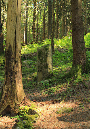 Rabenbühl sole stone
