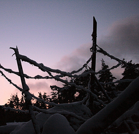 Linge, wire after sundown