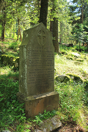Germania: Jean Capdepon 21.06.1915 & brother Pierre kia Somme