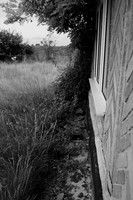Pat's garden in 2011, 2