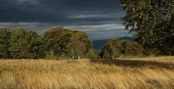Altmattkopf