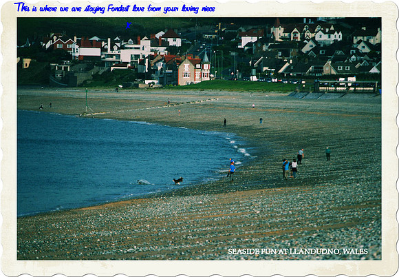 04 Dog plays too "postcard"