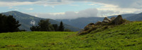 Altmattkopf