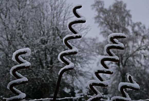 Linge, winter posts