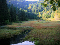 L'etang du Devin, by German machine room