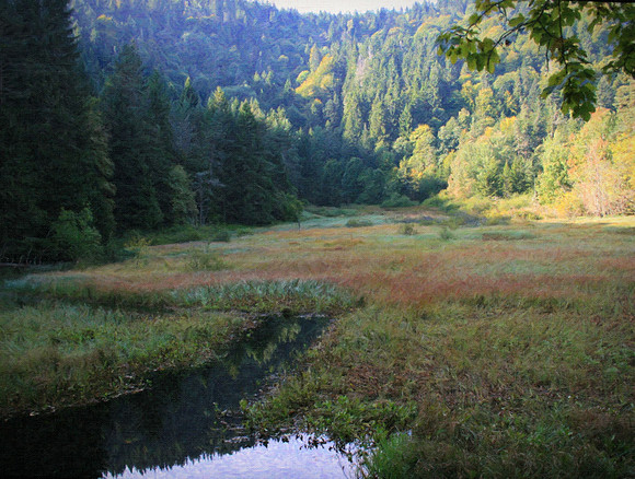 L'etang du Devin, by German machine room