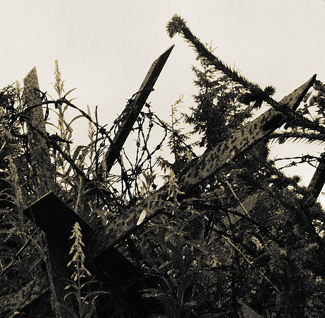 Wire and post, erect