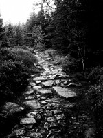 Mule track, French