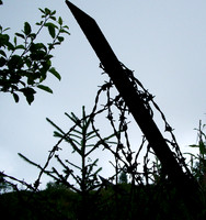 Wire post
