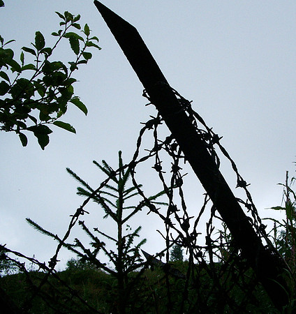 Wire post