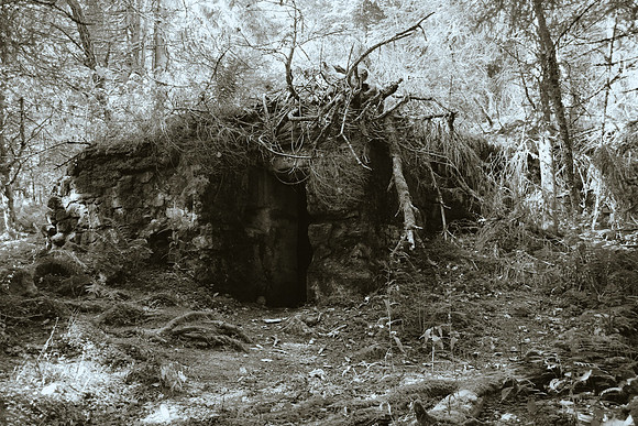 Reclaimed by nature