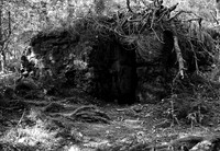 Shelter, German