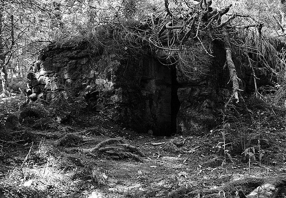 Shelter, German