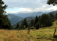 Altmattkopf