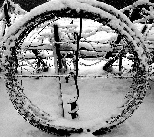 Circle