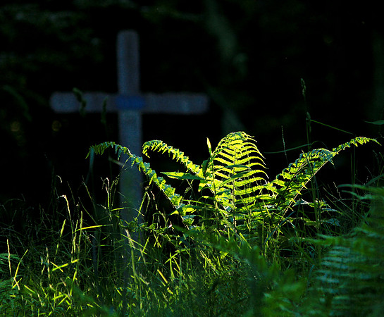 Hexenweiher fern