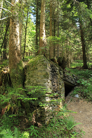 Gaschney: French generals' bunker 1915-18