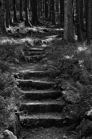 Rabenbühl steps