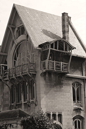 Majorelle's pad