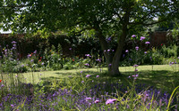 Pat's garden 1