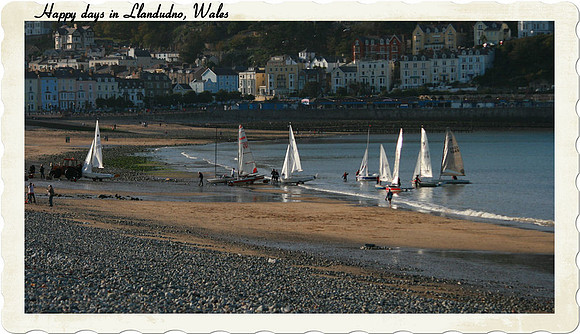 10 Crowd of yachts  "postcard"