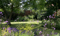 Pat's garden 2