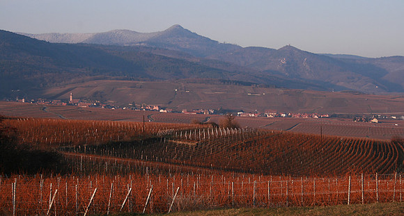View before the snow, Nécropole nationale de Sigolsheim