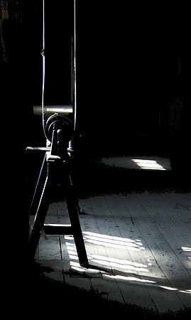Caught in the light