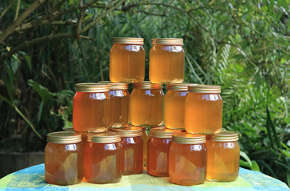 Honey Sept 2016